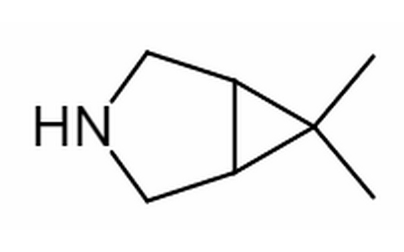 6,6-DiMethyl-3-aza···