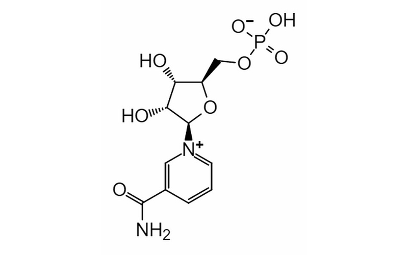 β-Nicotinamide Mon···