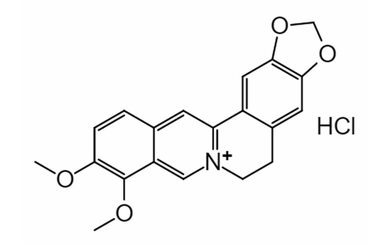 Berberine hydrochl···