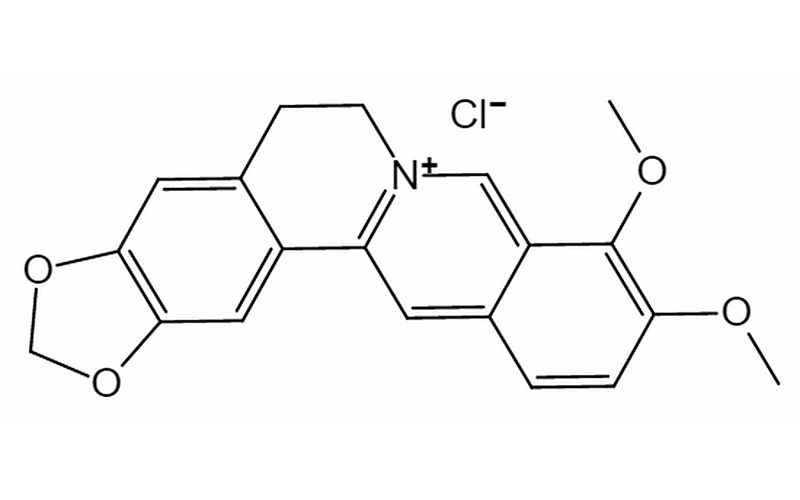Berberine hydrochl···