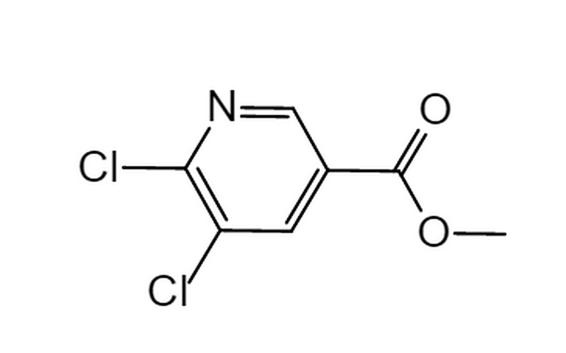 Methyl 5,6-dichlor···